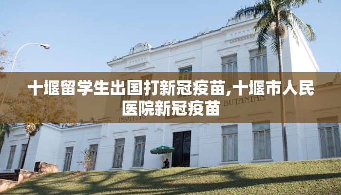 十堰留学生出国打新冠疫苗,十堰市人民医院新冠疫苗